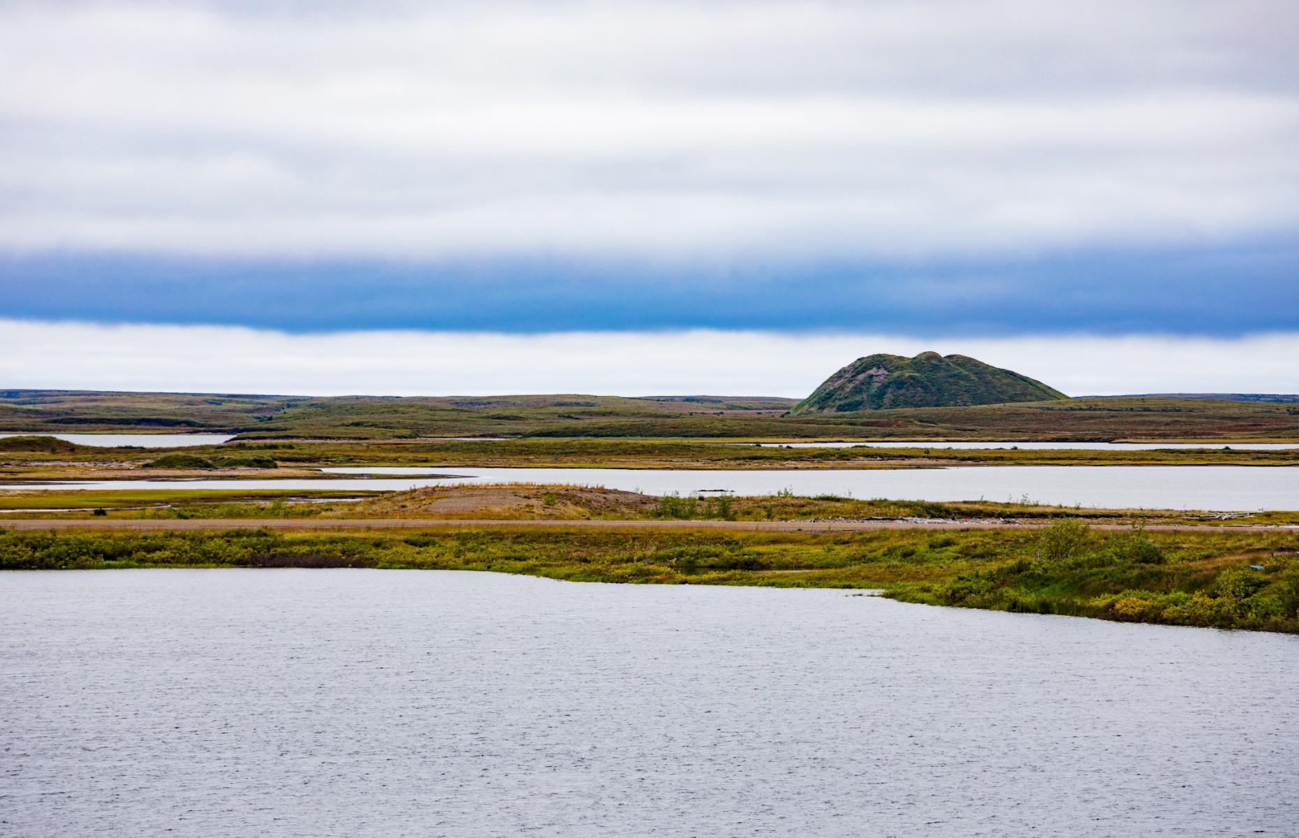 Joint 5. Inuvialuit of the Inuvialuit Settlement Region: 9.1 million hectares